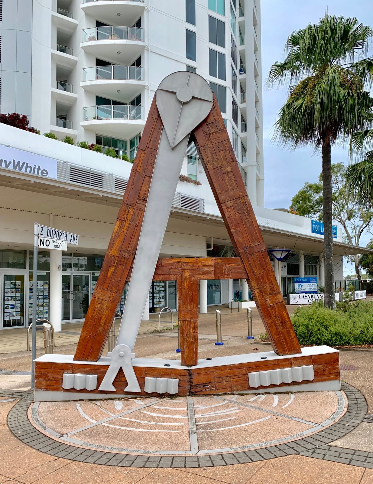 Lil Canteen Cotton Tree photo 4