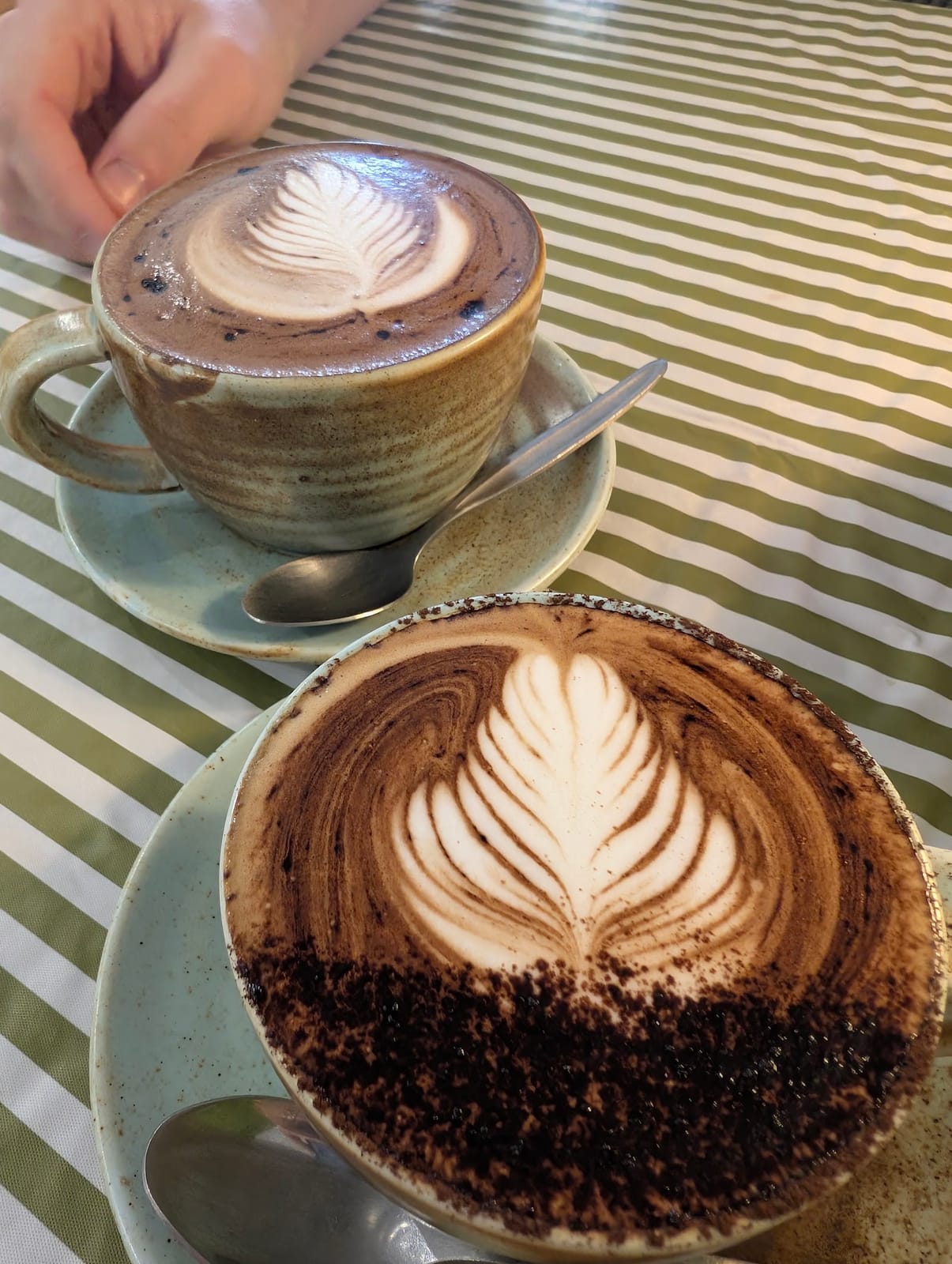 Shelfield Coffee Brewers toowoomba