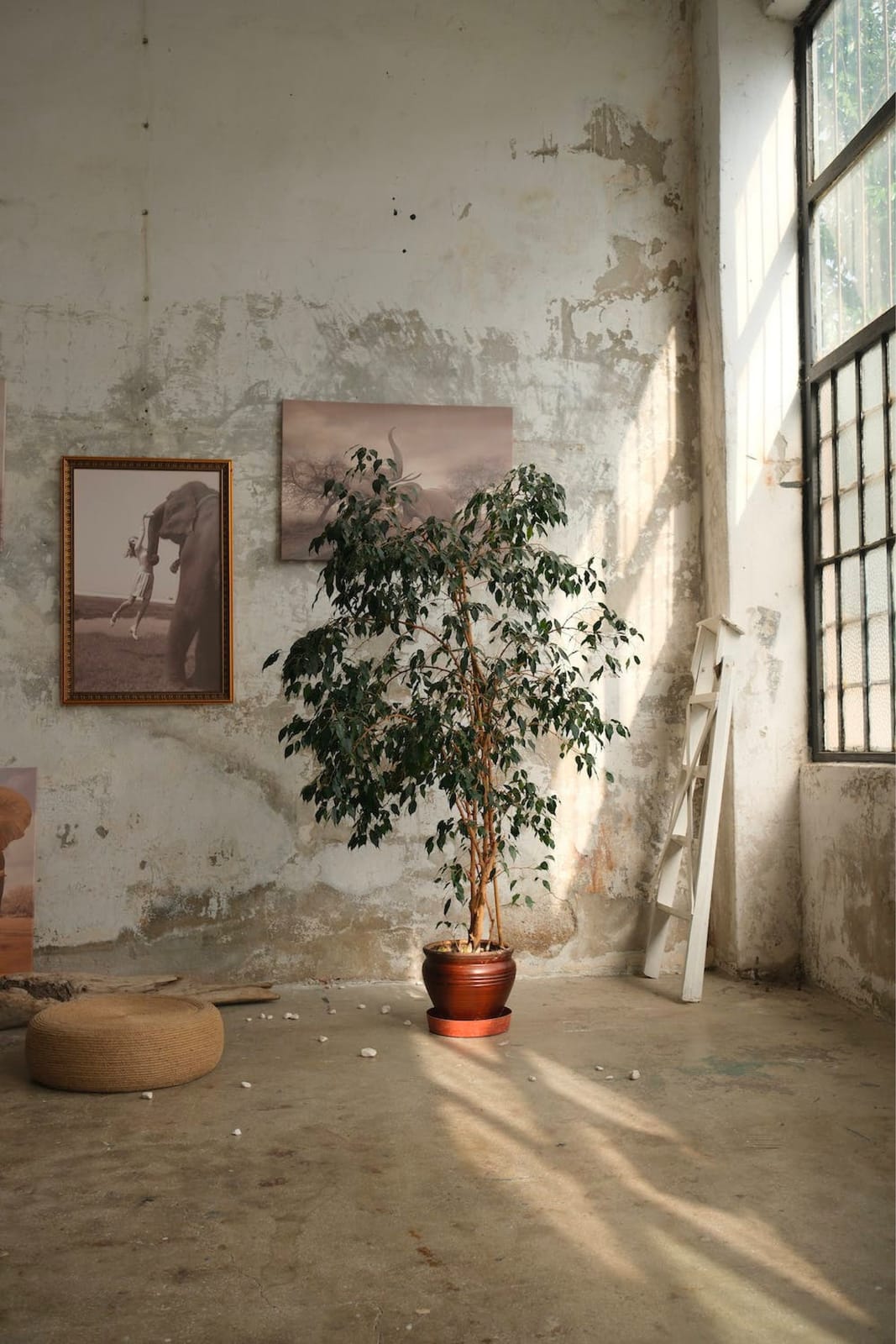 Botanical Style photo 3