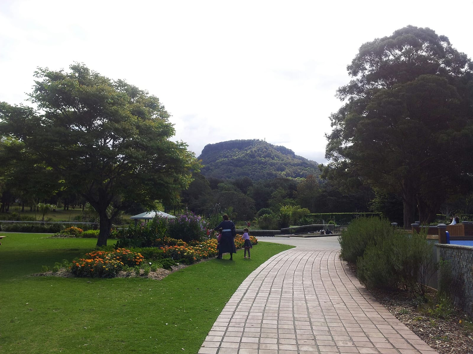 Pani Cafe Wollongong Botanic photo 5