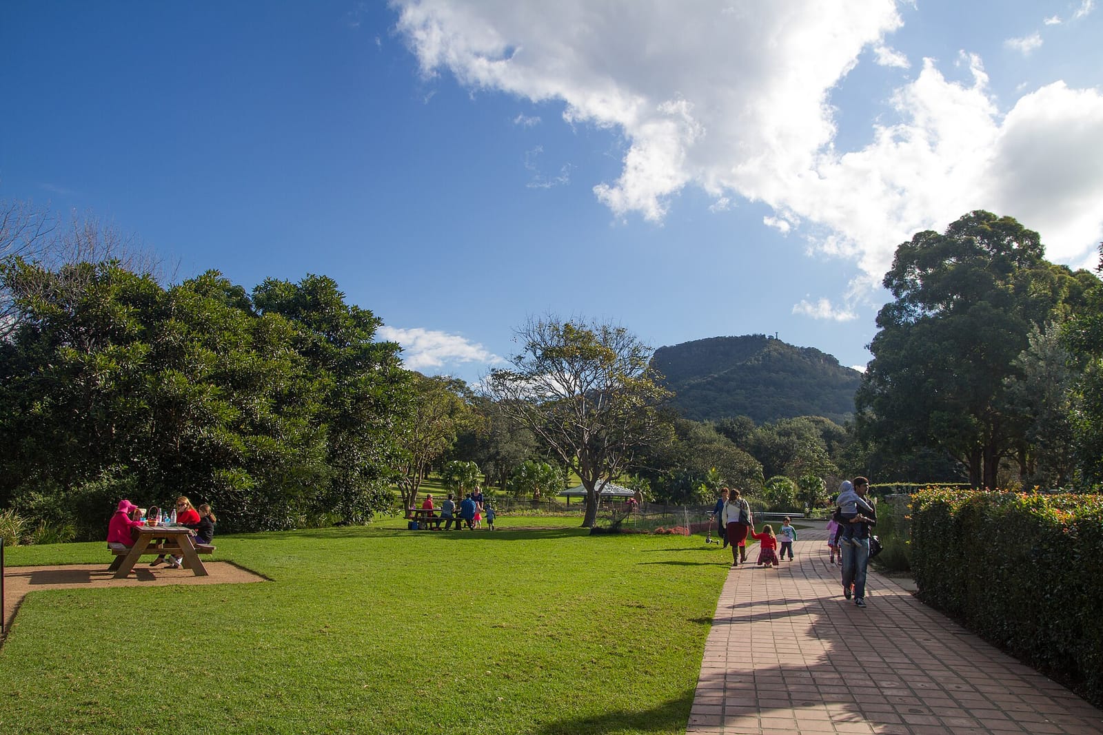 Pani Cafe Wollongong Botanic photo 2
