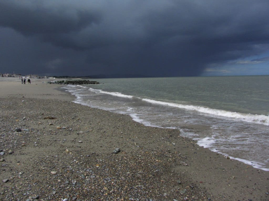 The Boat House Coffee Dock Bray photo 4