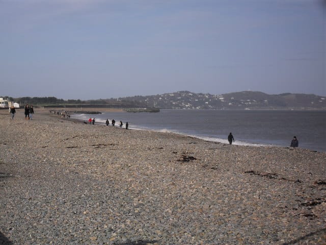 The Boat House Coffee Dock Bray photo 5