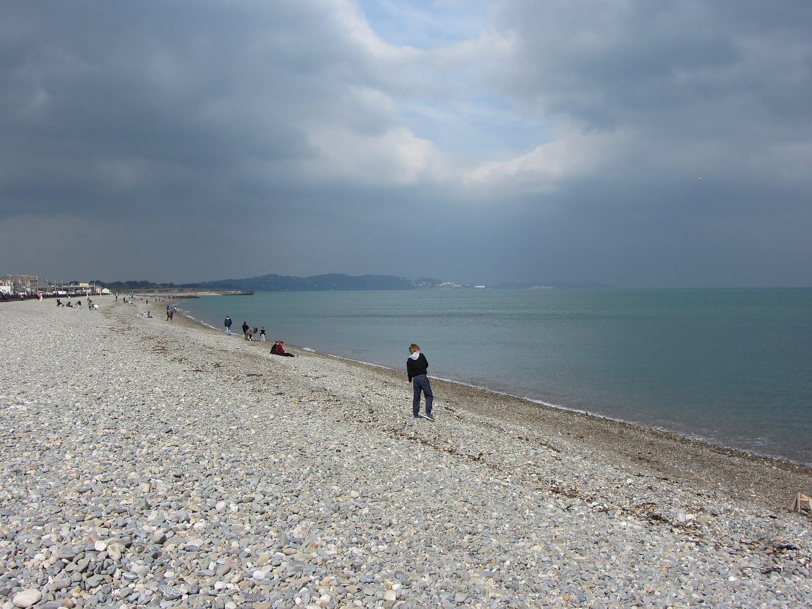 The Boat House Coffee Dock Bray photo 2