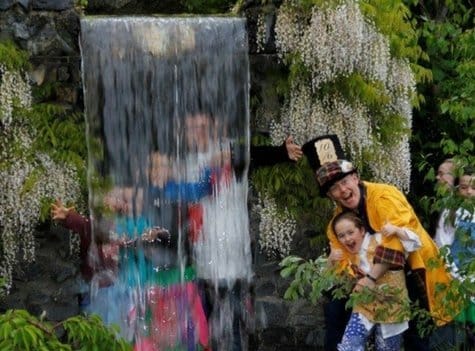 Delta Sensory Gardens photo 8