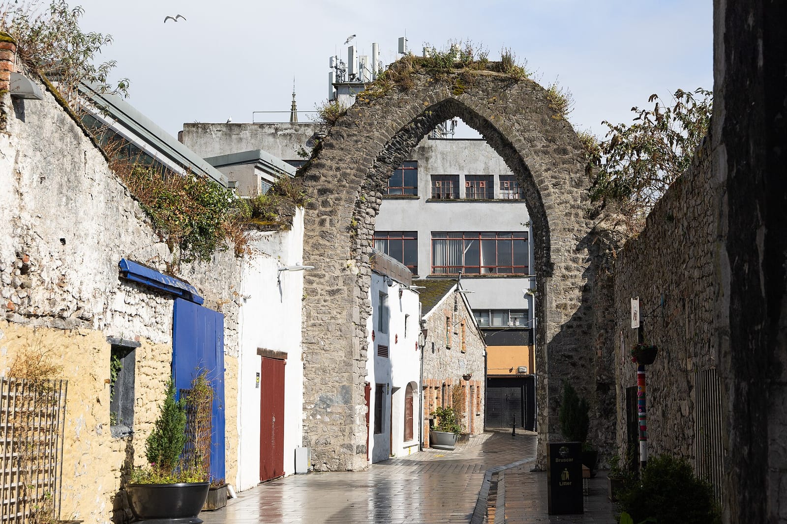 Ar gCaife - Drogheda photo 4