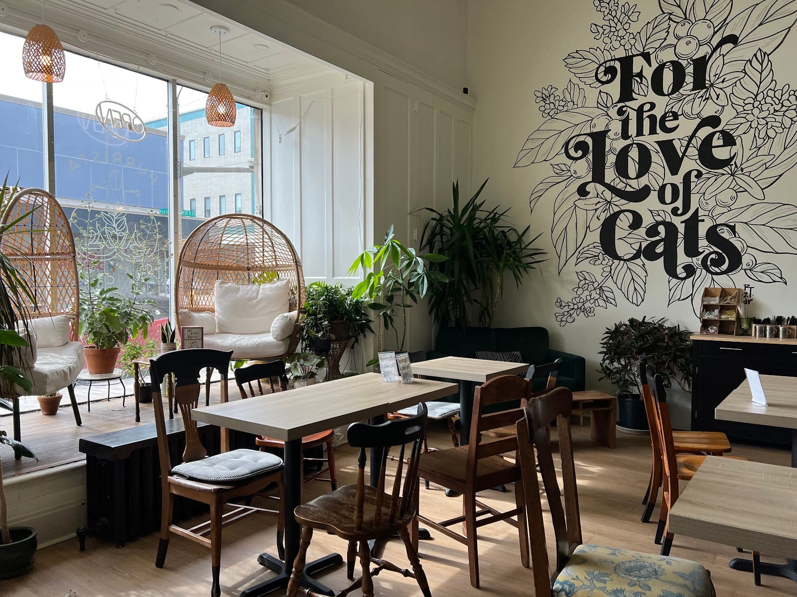 Purrista Cat Café