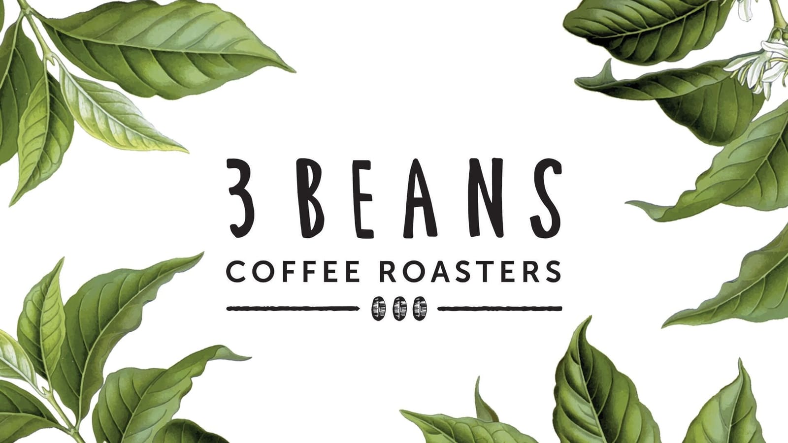 3 Beans Coffee Roasters photo 4