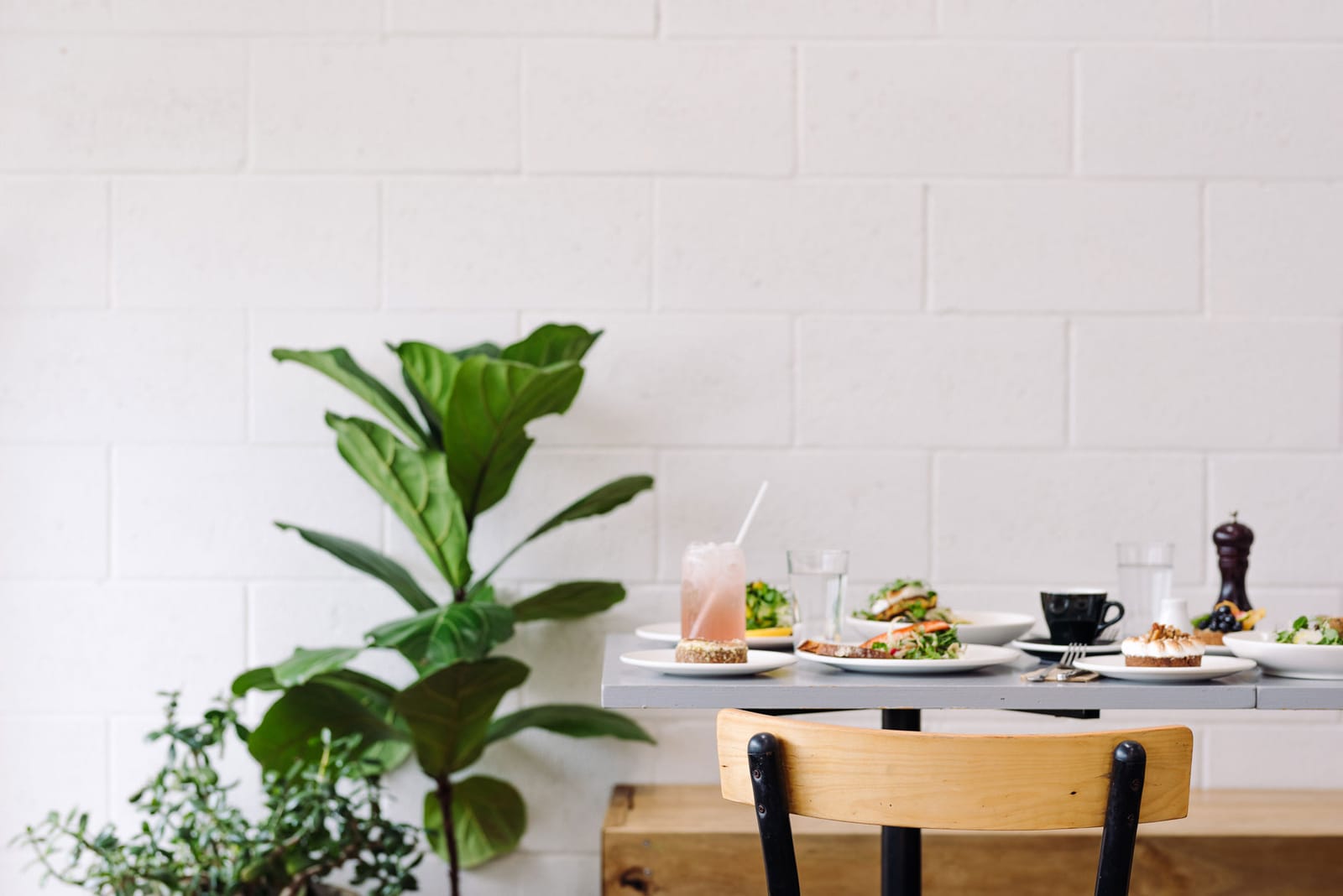 Lily Eatery Devonport