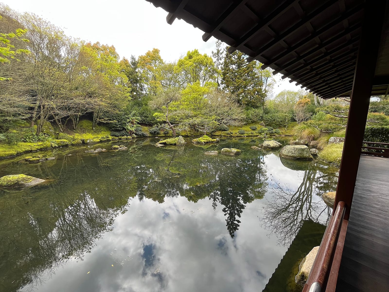 Hamilton Gardens Cafe photo 3