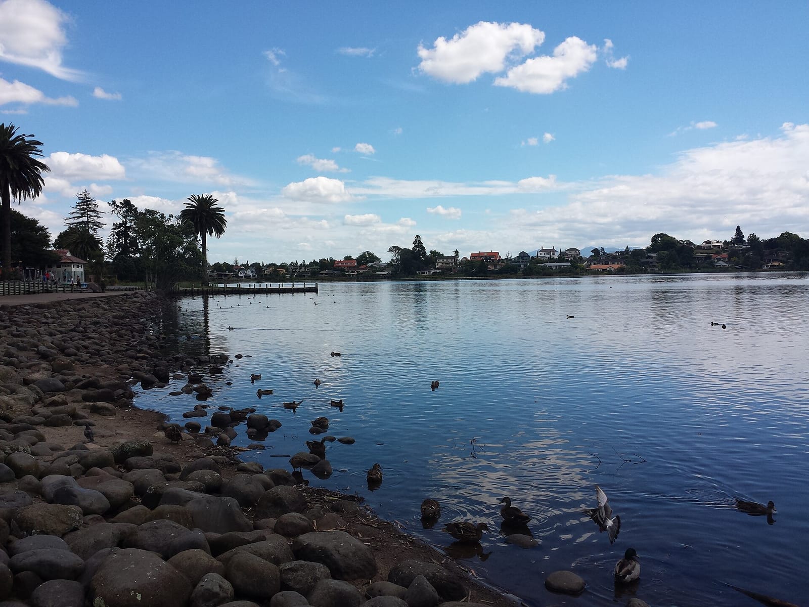 The Verandah Cafe & Function Centre photo 4