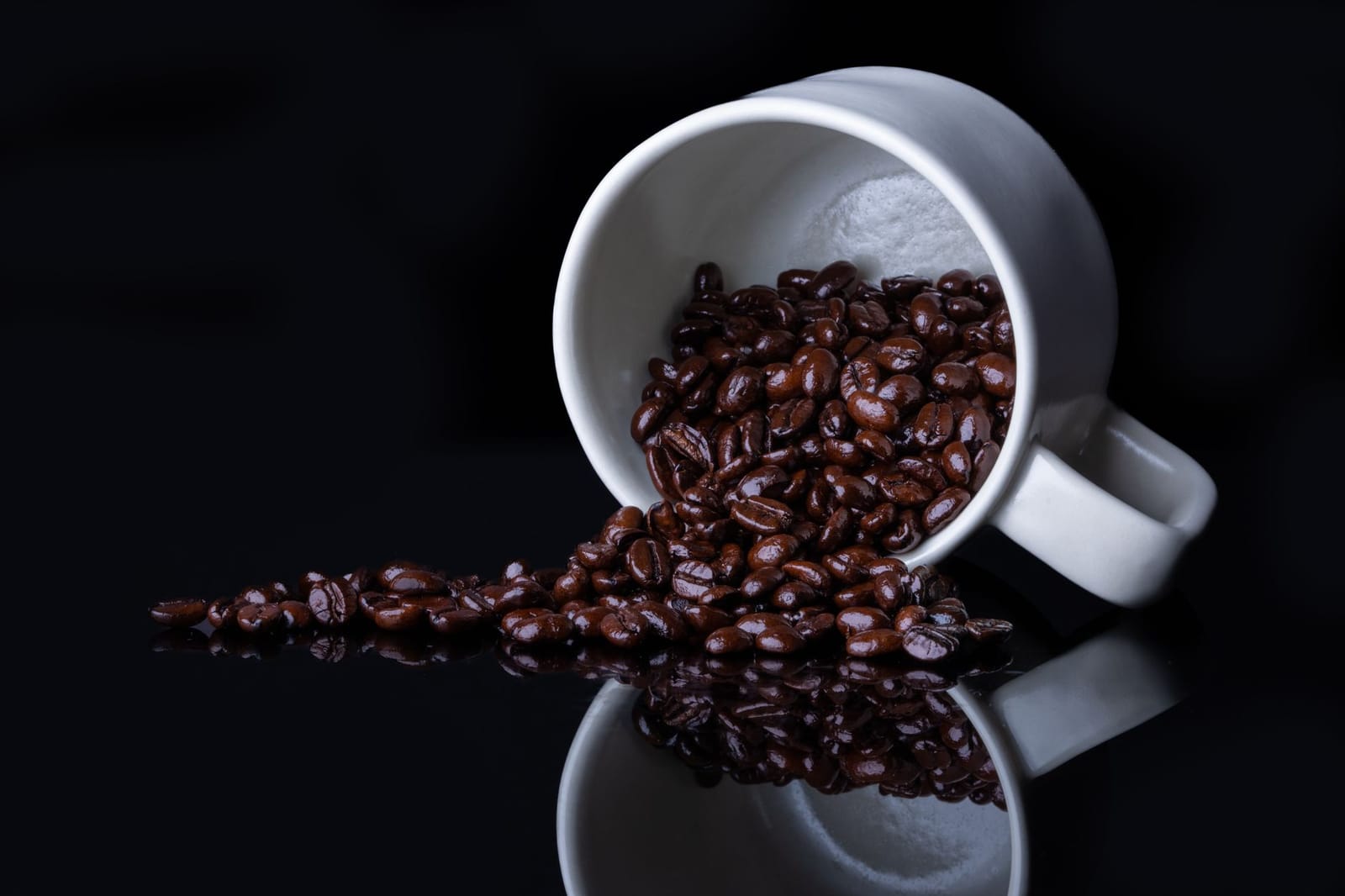 911 Coffee Co Limited photo 2