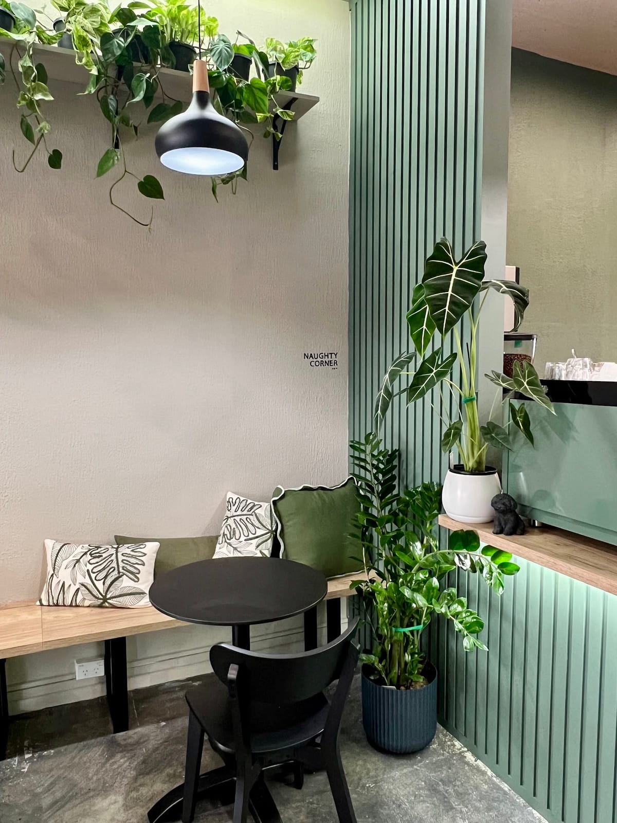 The Elephant Ear
