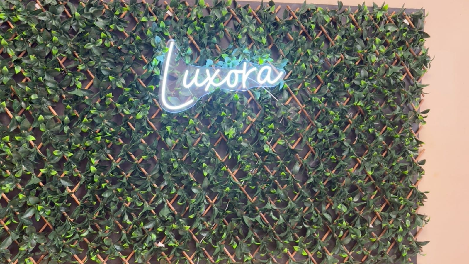 Luxora cafe photo 9