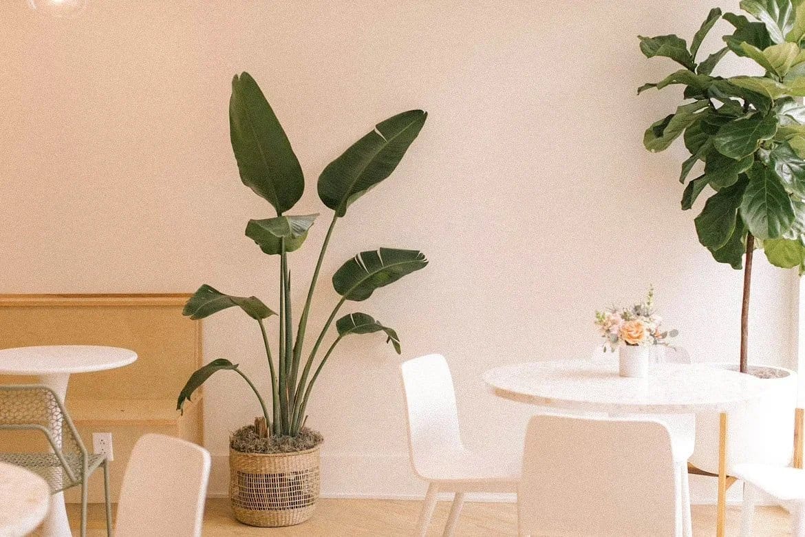 Mayday Coffee Shop photo 4