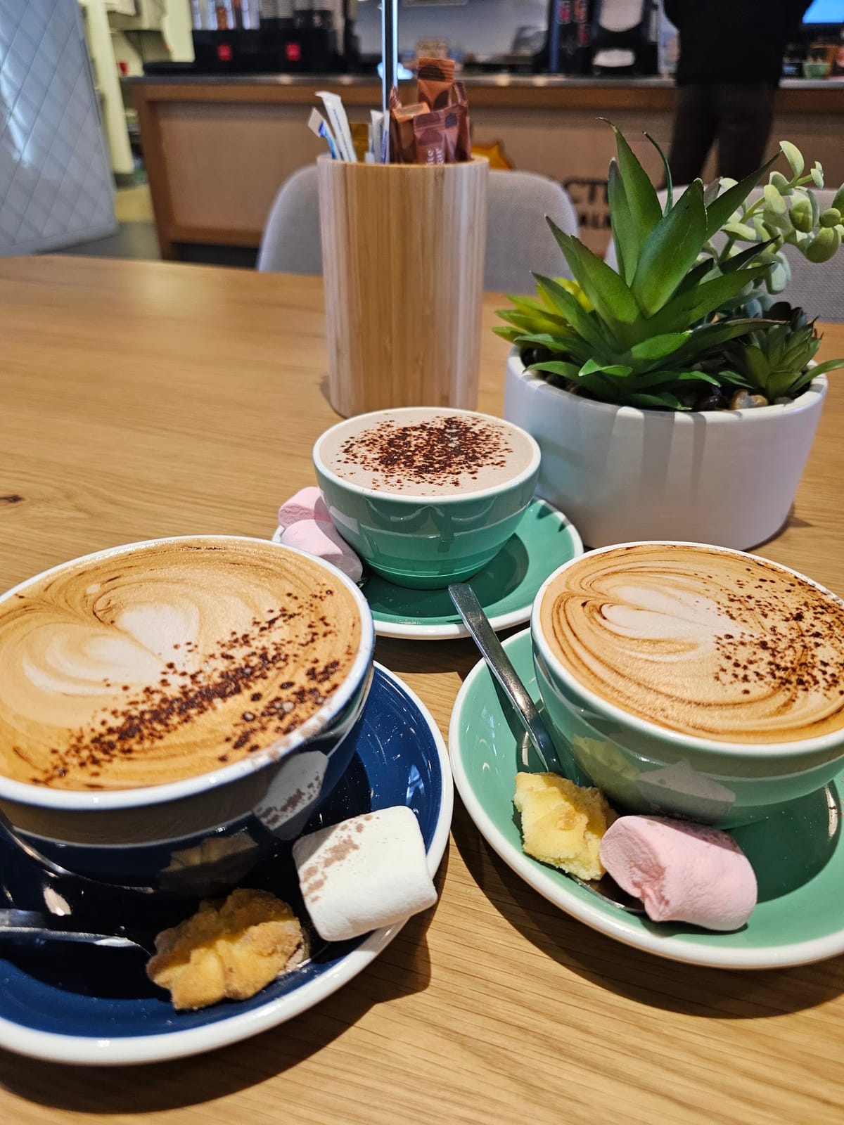 Cactus Creme Cafe Palmerston North