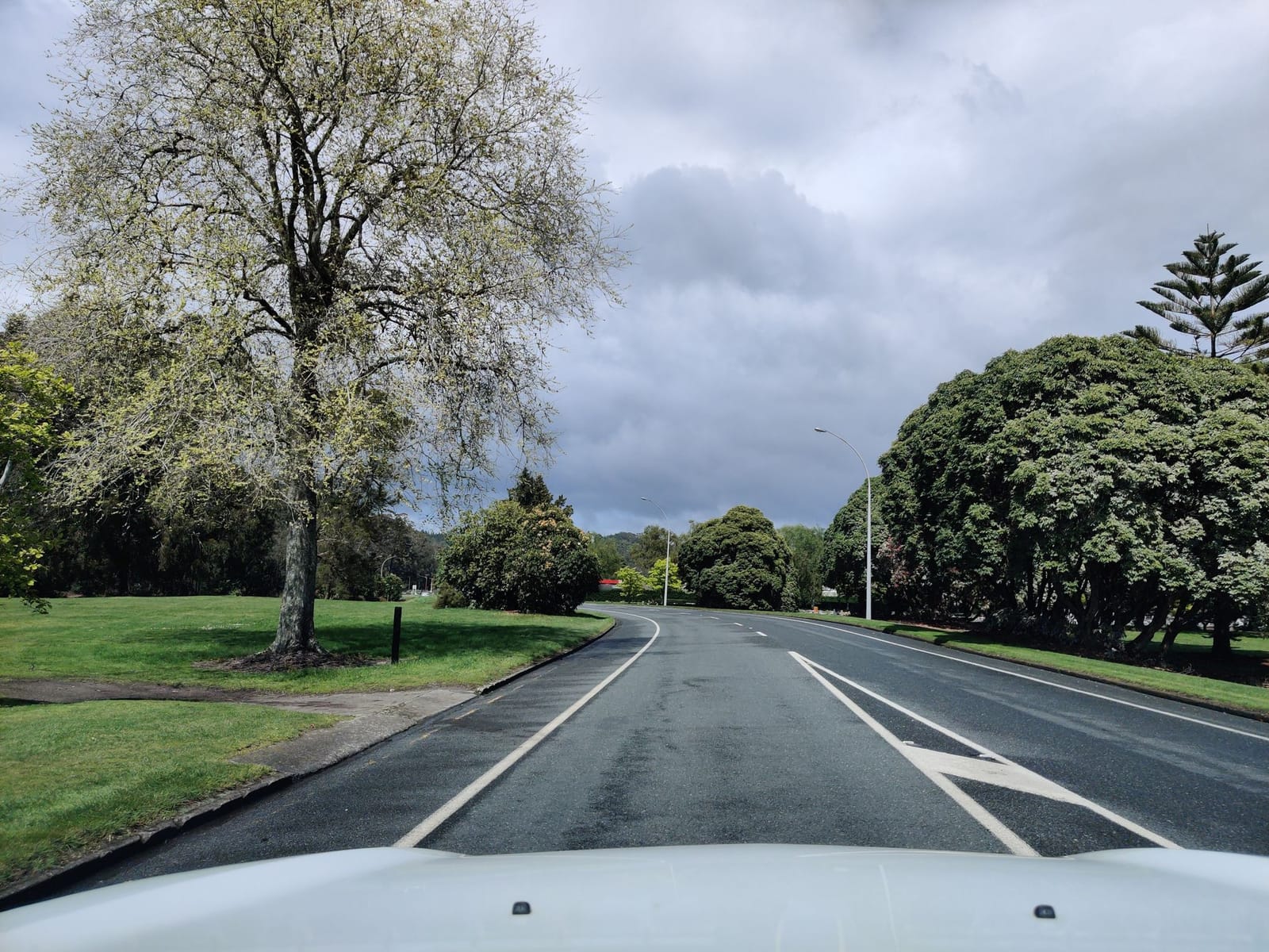 Palmers Rotorua