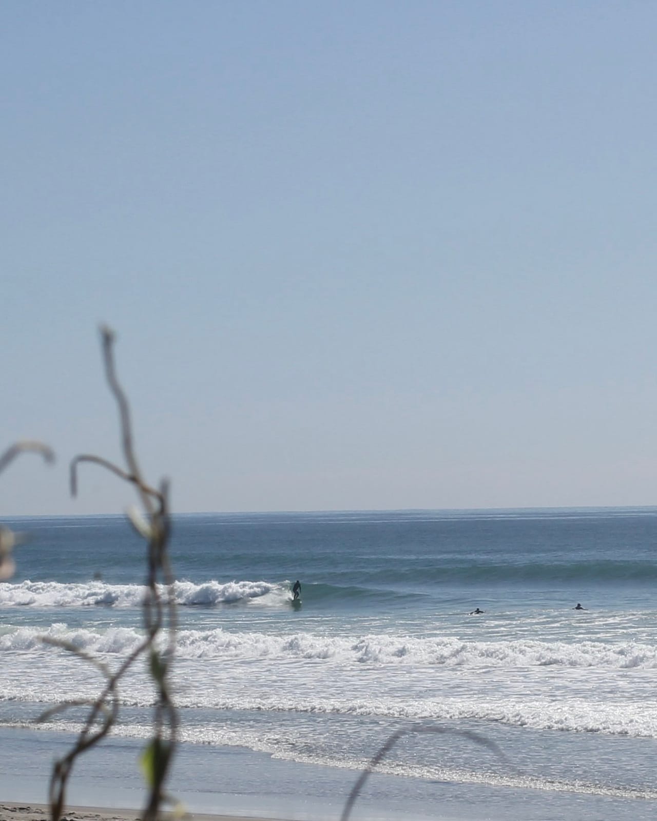 OMANU SURF SHACK photo 3