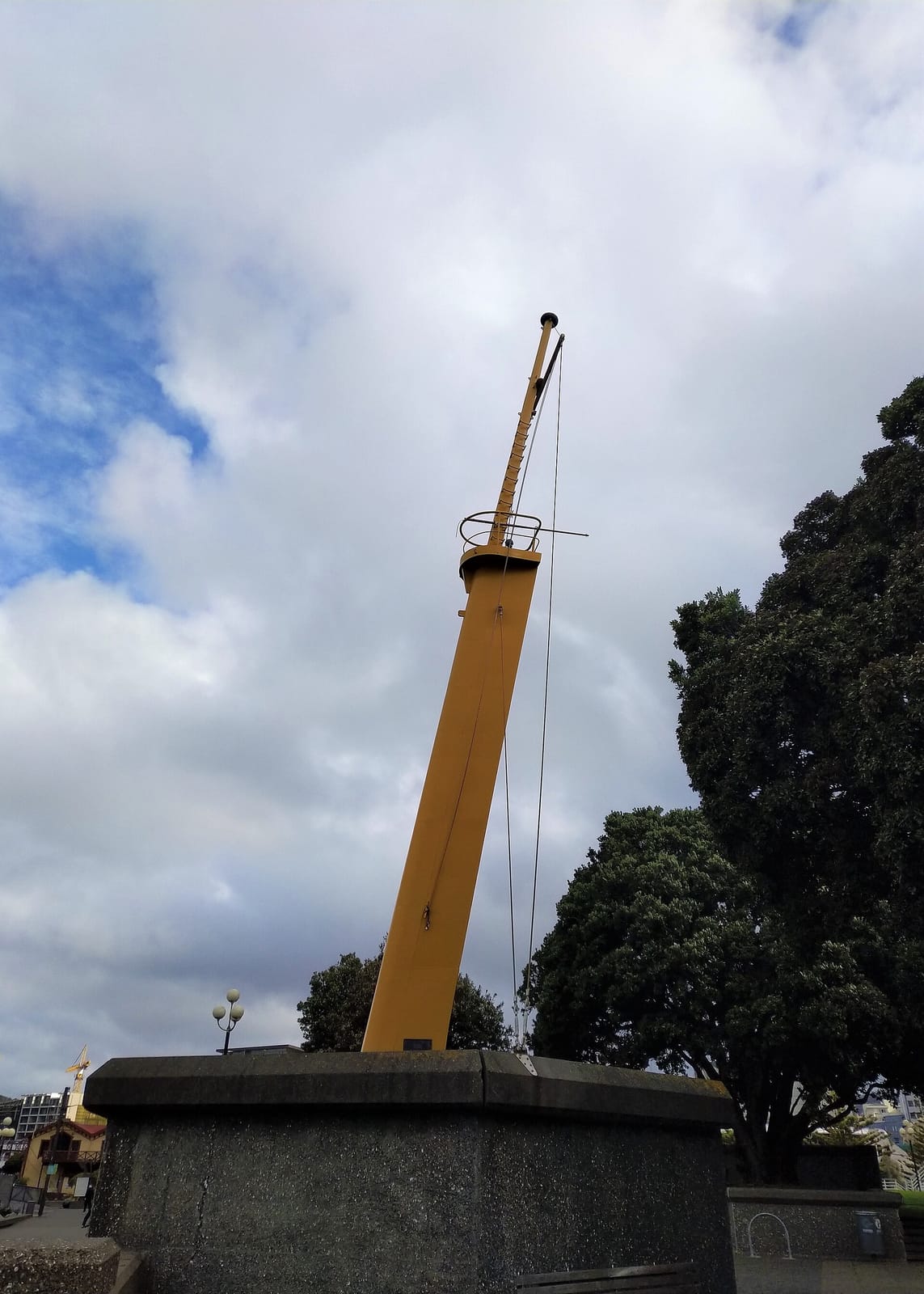 Tuatua photo 3