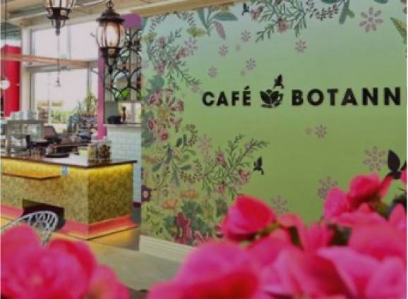 Cafe Botannix Whangarei photo 2