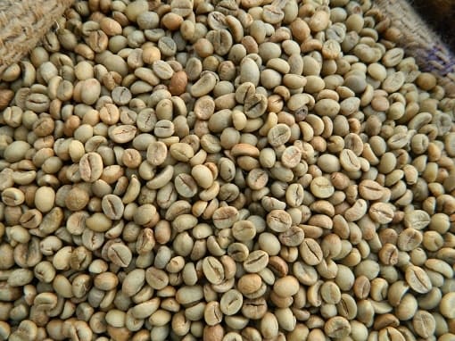 Cobe Coffee photo 3