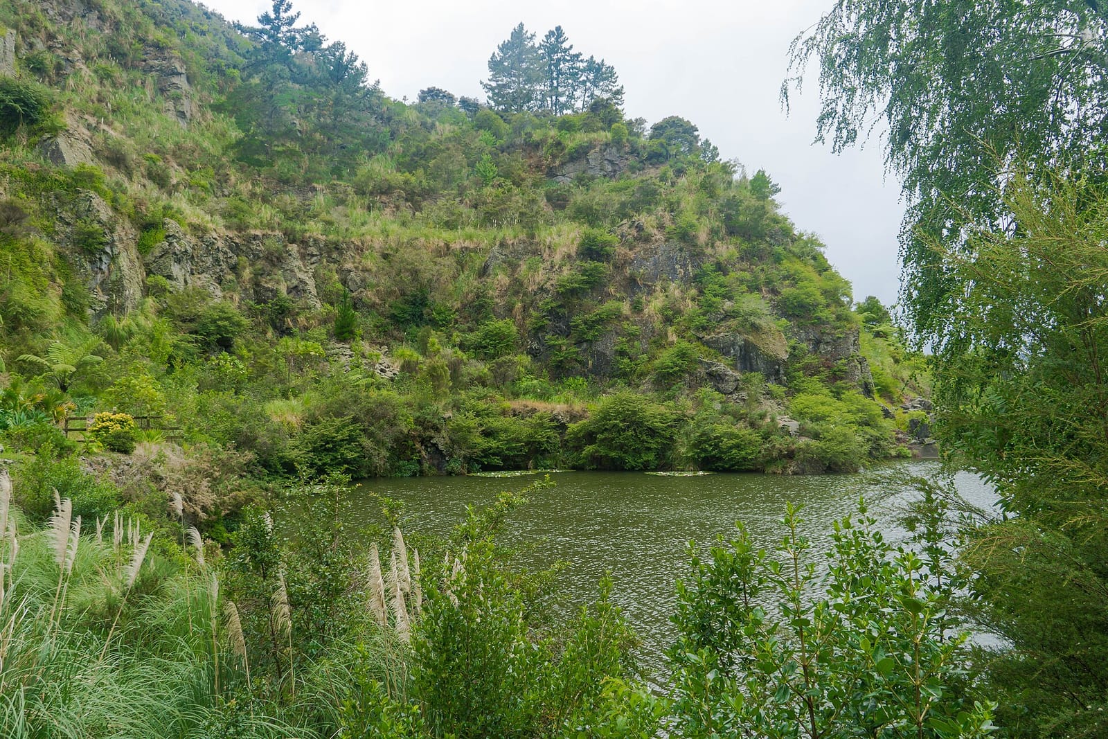 Whangarei Quarry Gardens photo 2