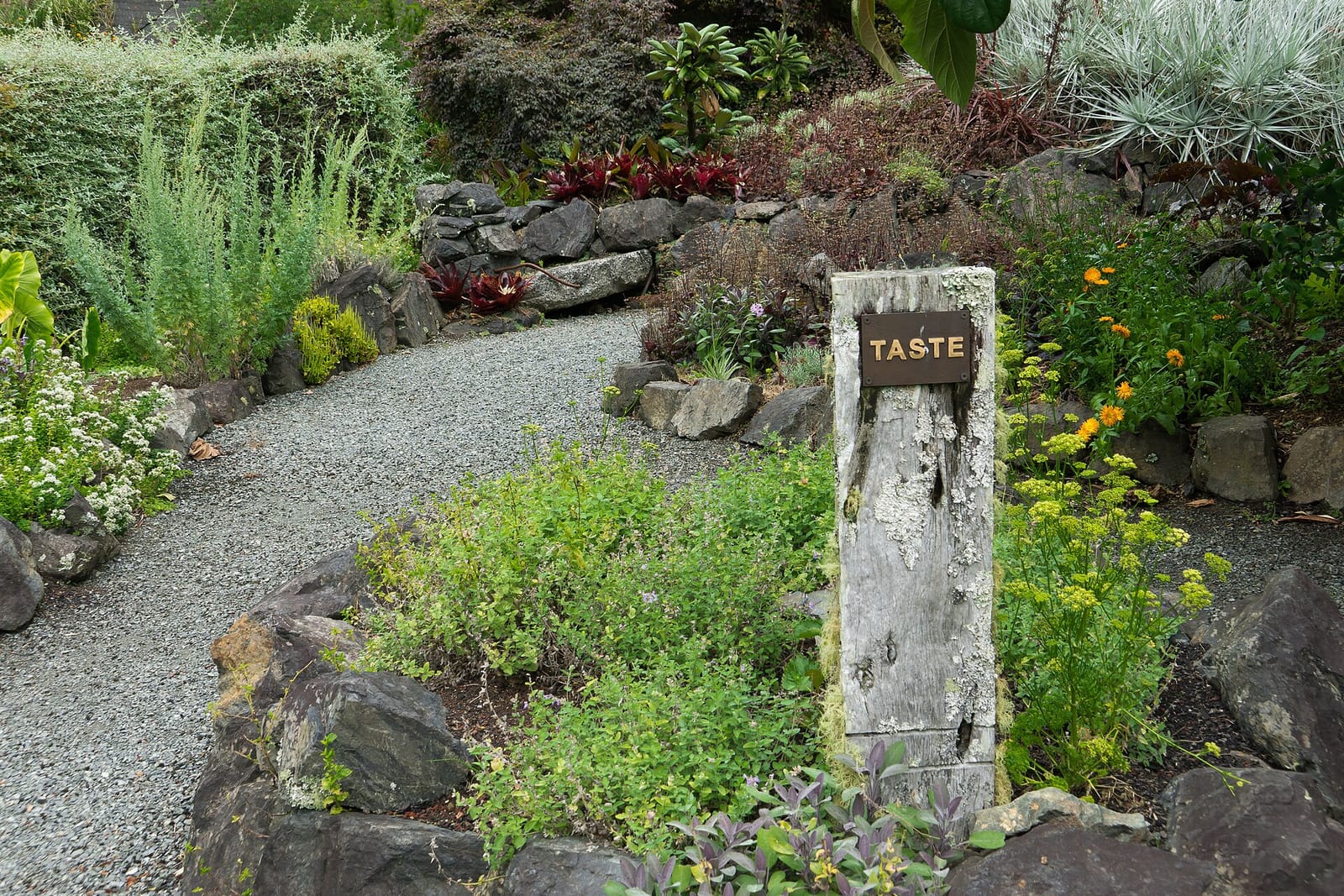 Whangarei Quarry Gardens photo 3