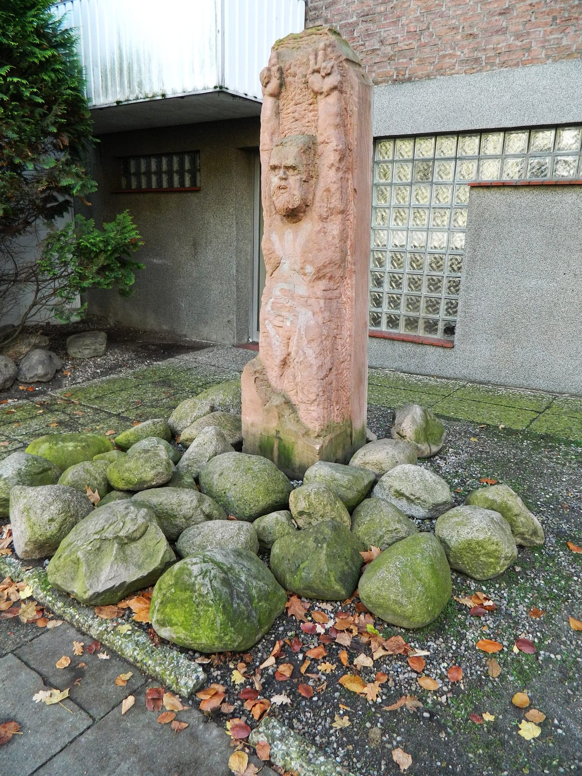 NON Coffee & Plants photo 5