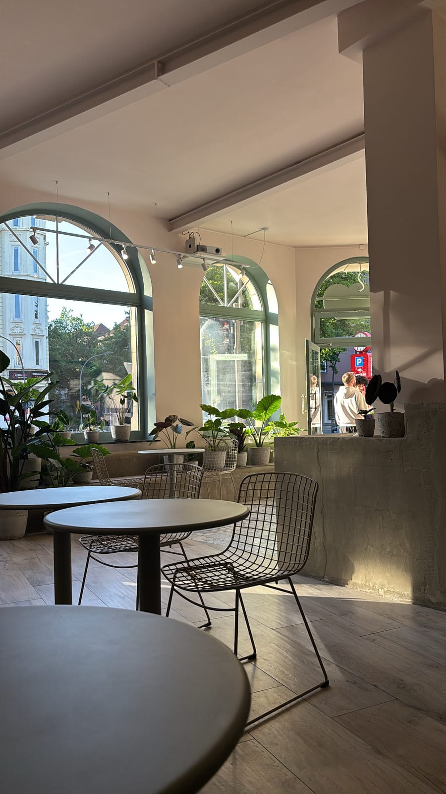 NON Coffee & Plants