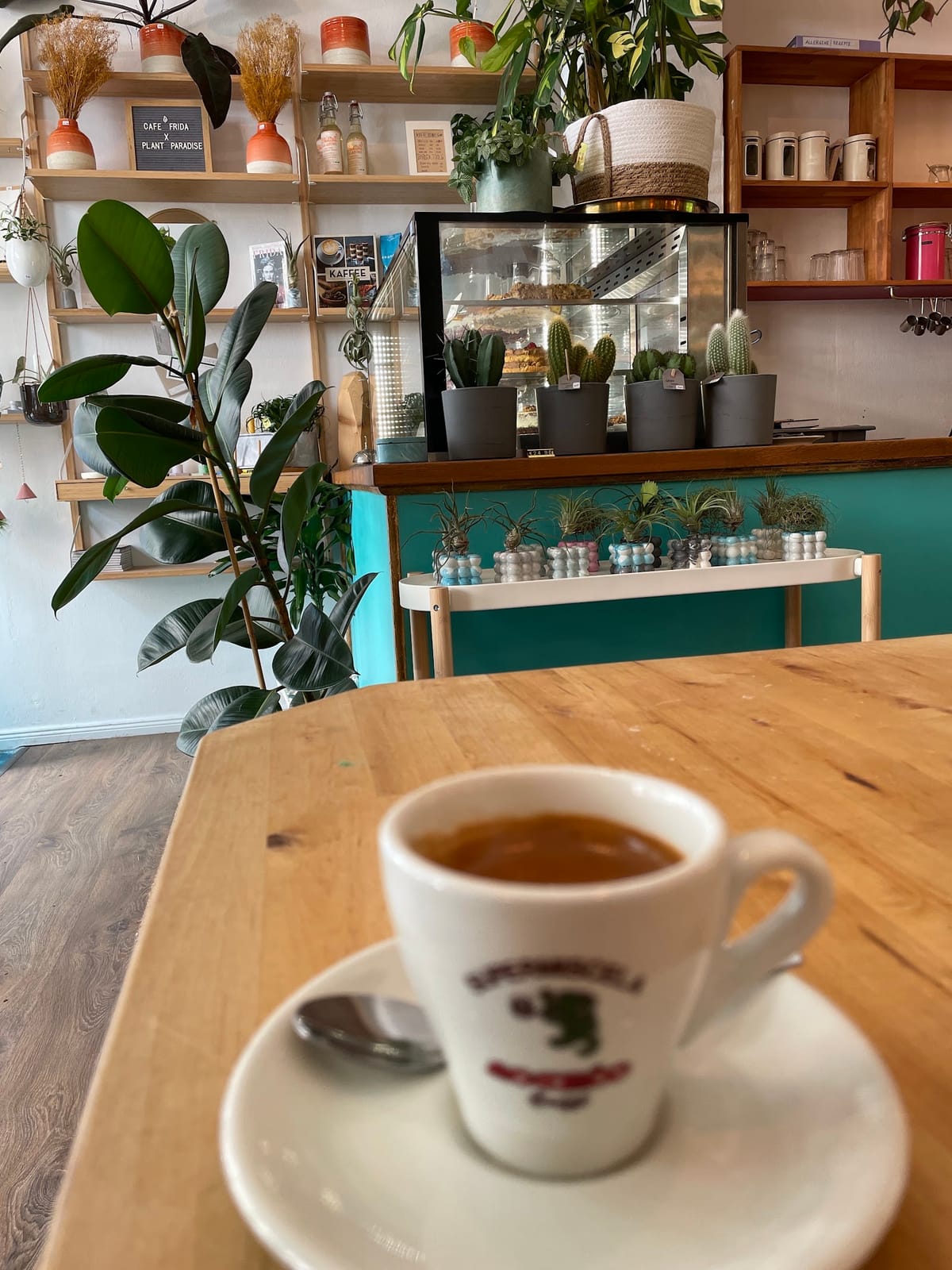 Cafe Frida x Plant Paradise - Bremen