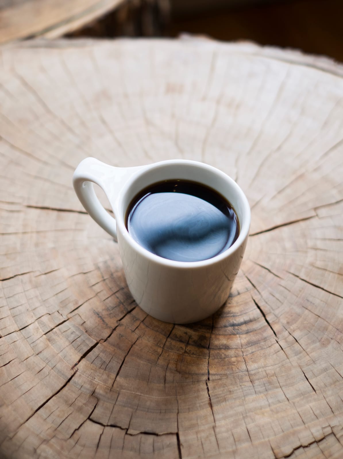 Menagerie Coffee photo 2