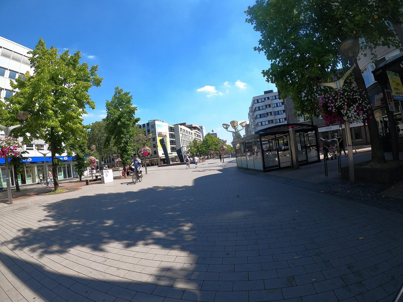 Cafe photo 3