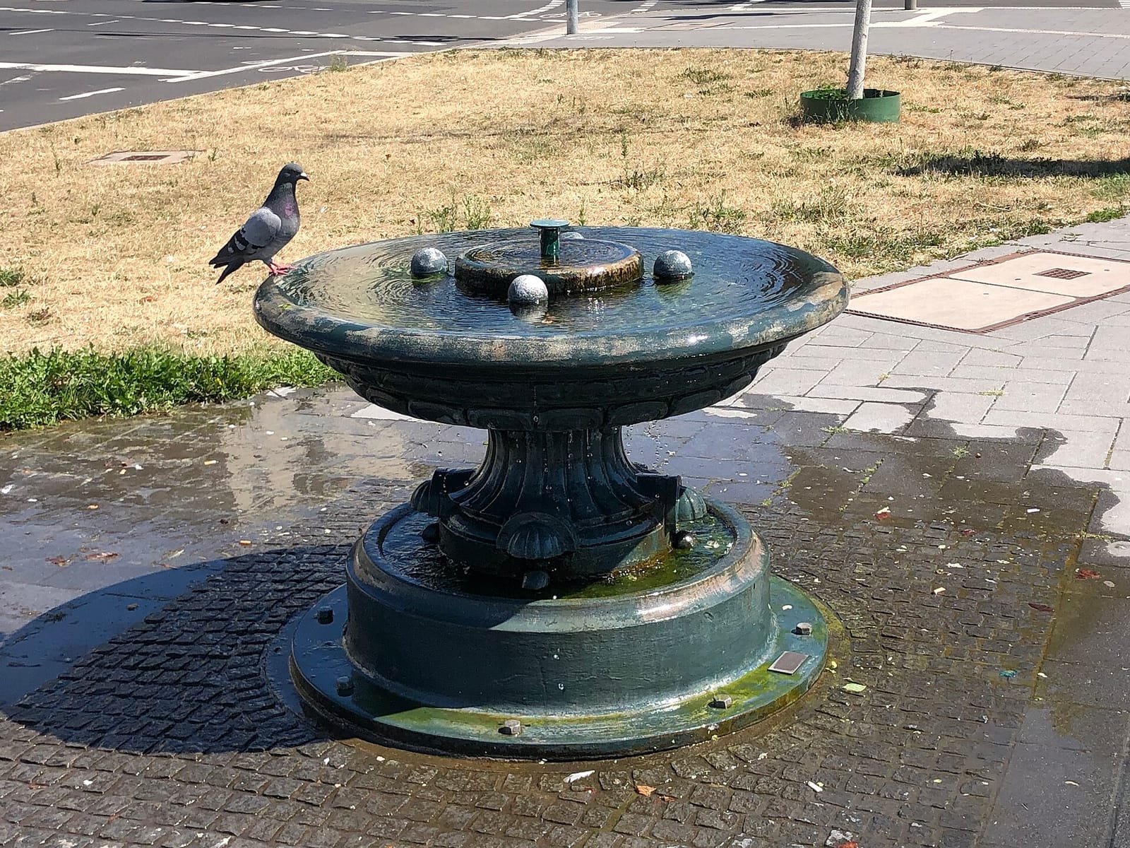 Stadt Land Fluss photo 3