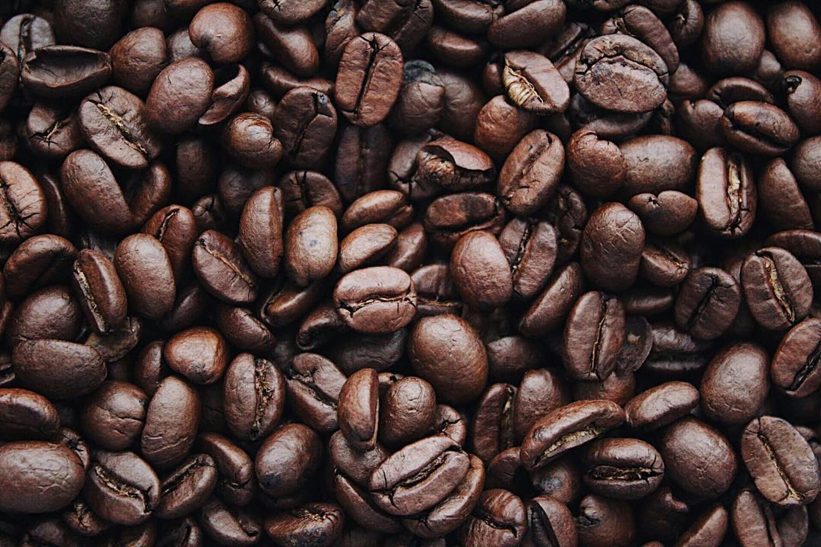 Classic - Specialty Coffee photo 4