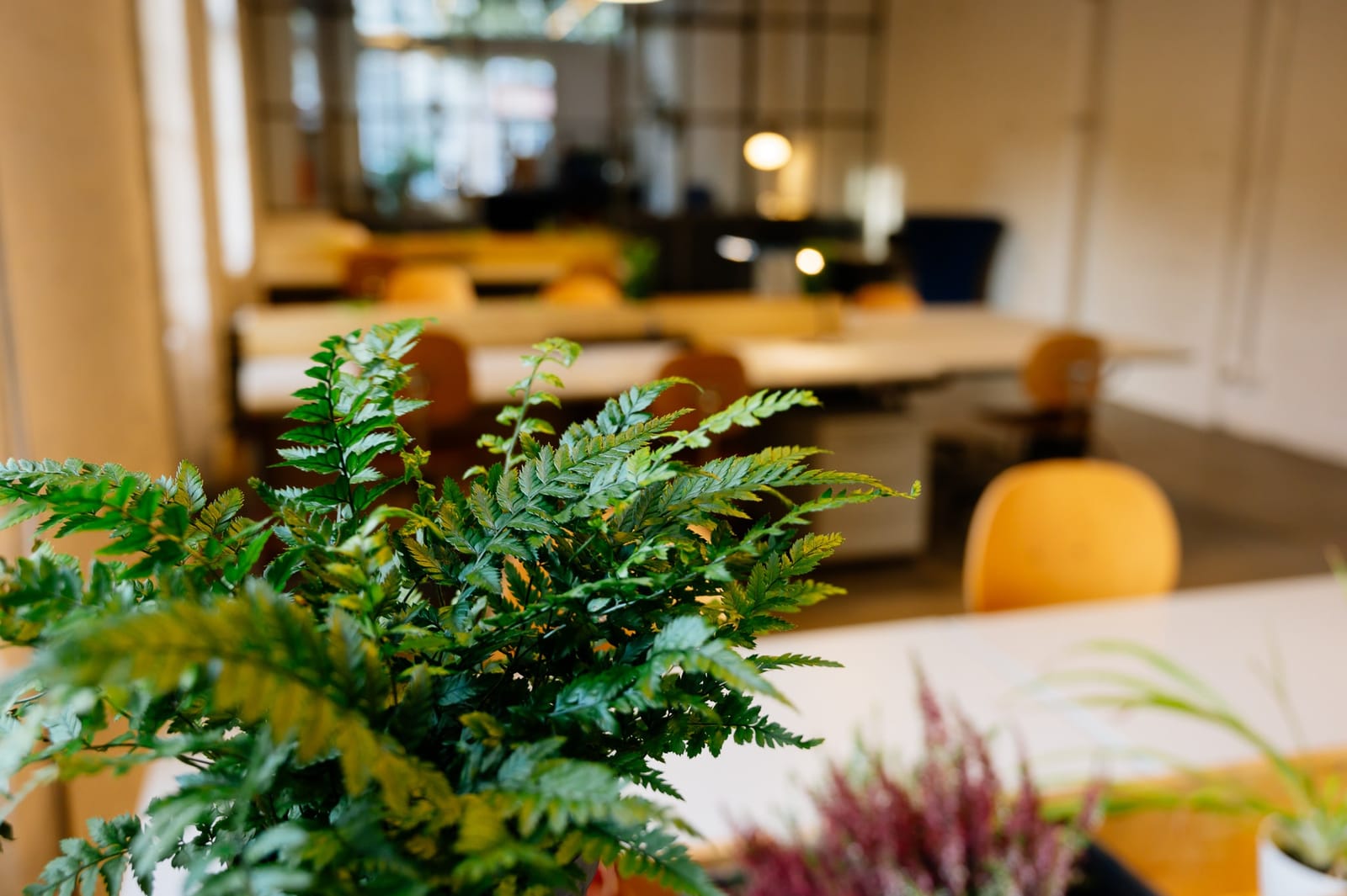 SaltLabs workplaces + coffee GmbH photo 2