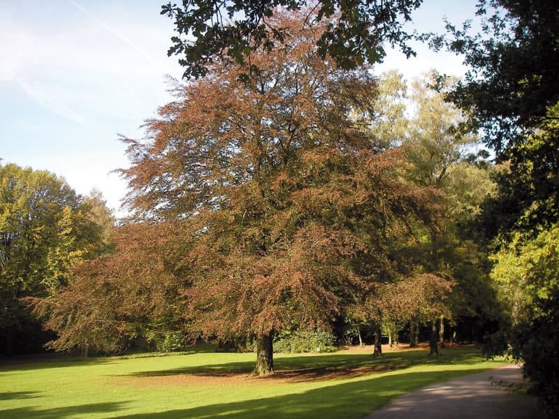 Cafe am Tiergarten photo 6