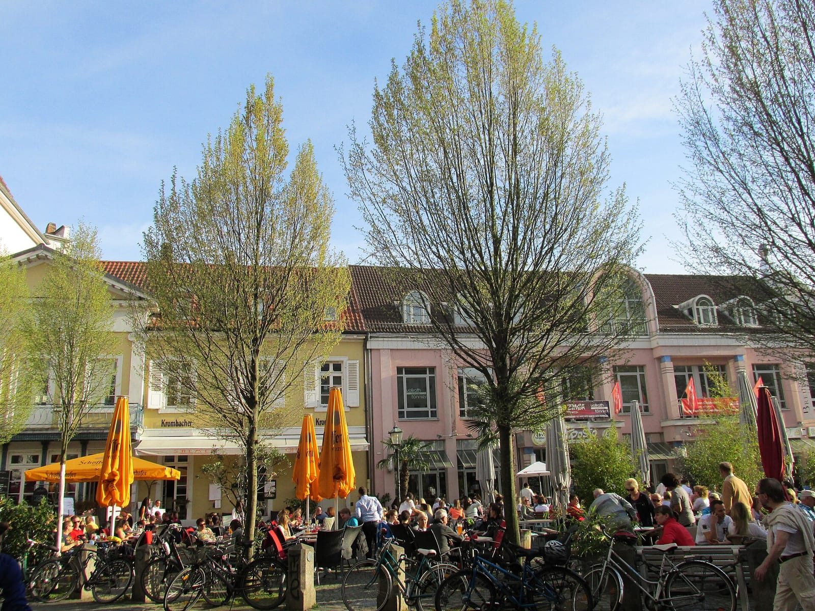 Segafredo Espresso Bar photo 8