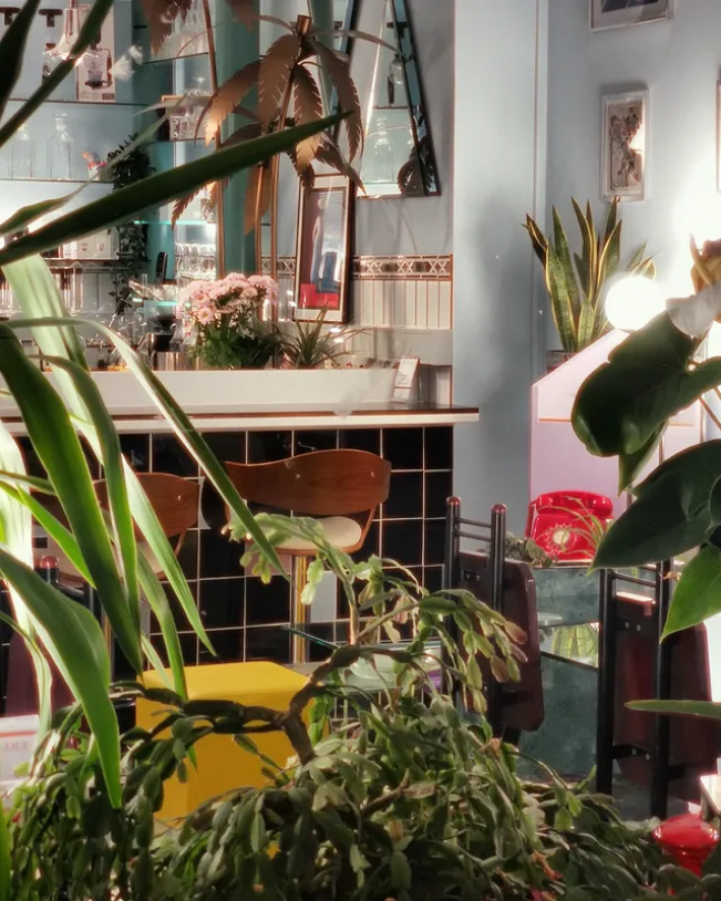 Kitchen & Coffee House – Katzenauge photo 2