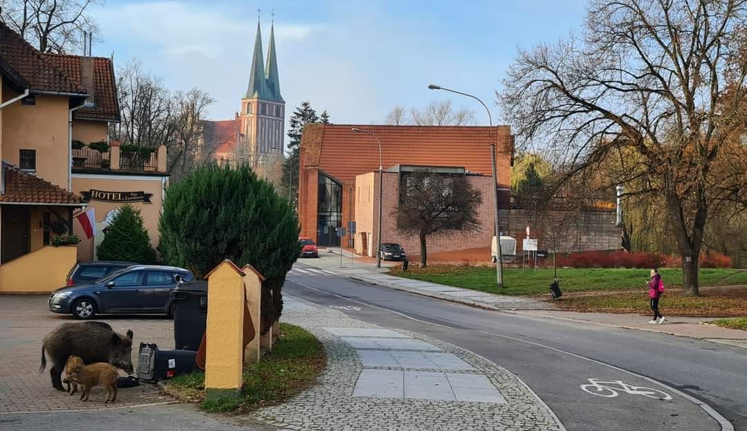 Cafe Sehnsucht GmbH