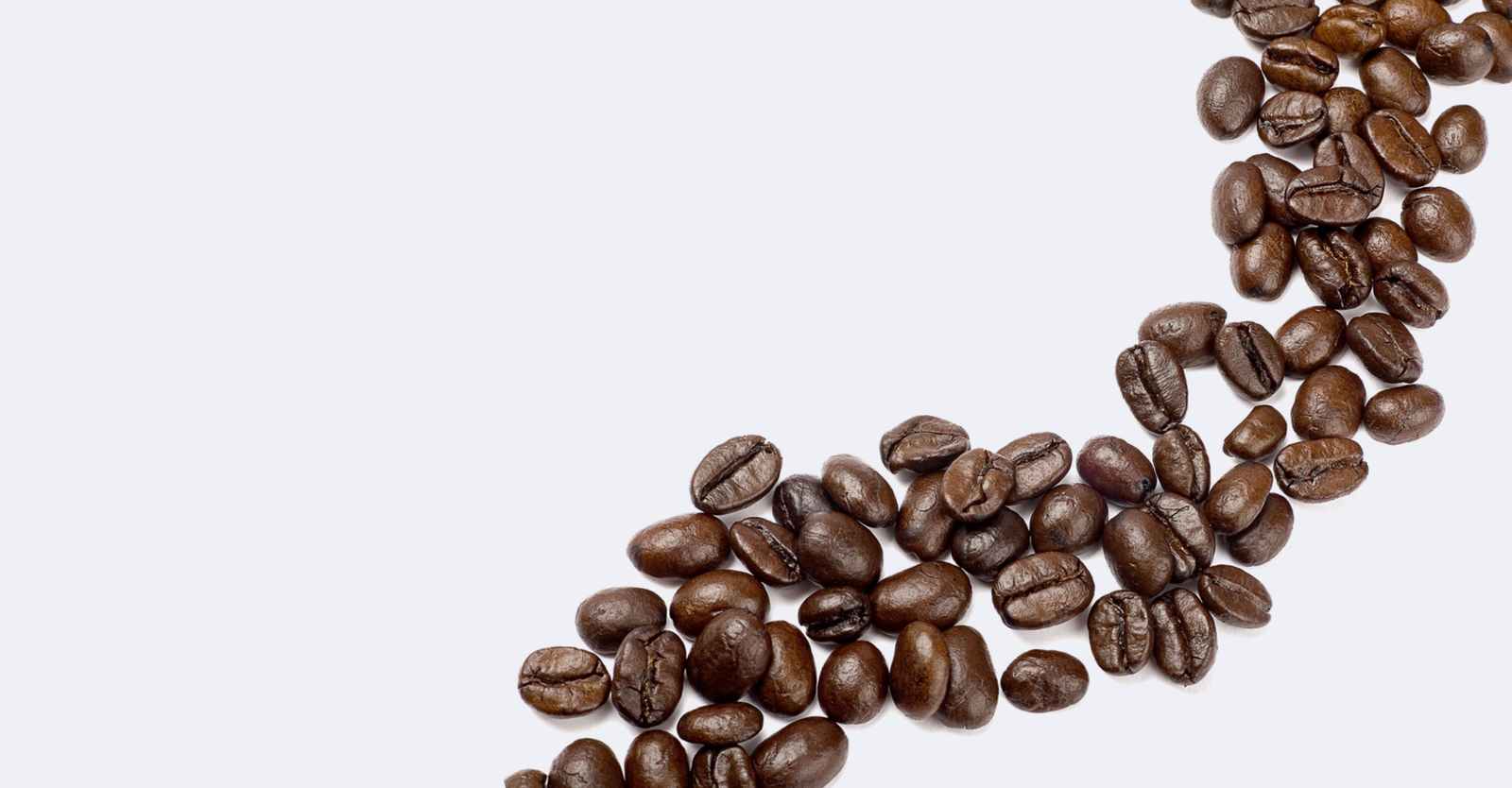 Bason Coffee Roasting photo 2
