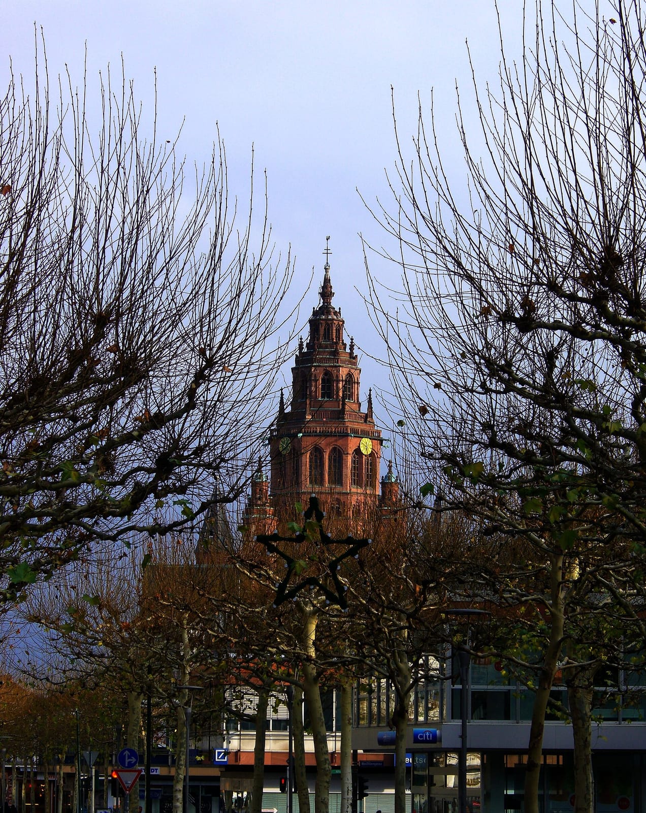 Wilma Wunder Mainz im Cafe am Ballplatz photo 4