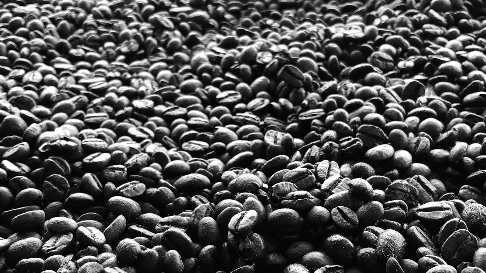 Espresso Studio Osnabrück