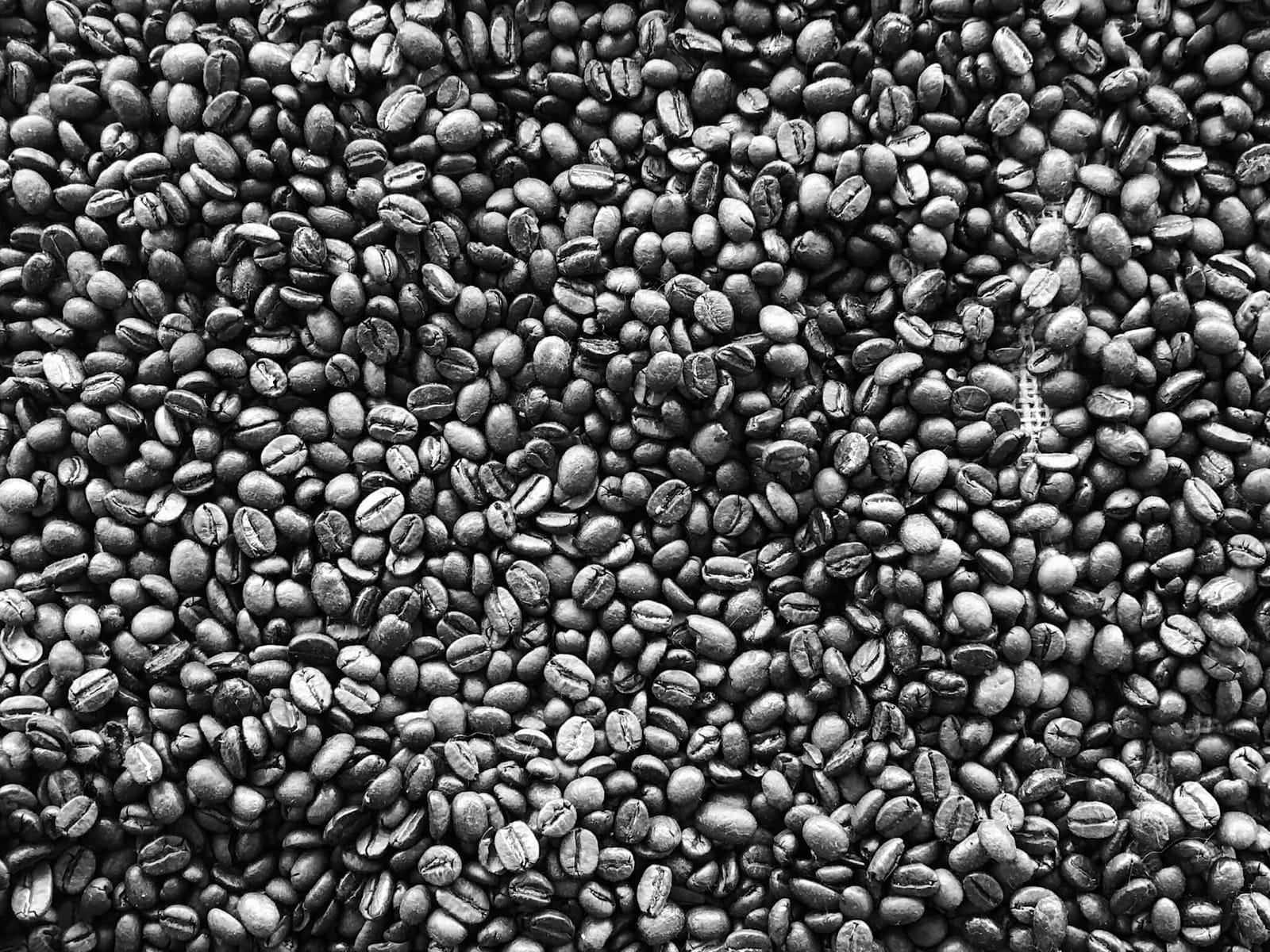 Espresso Studio Osnabrück photo 2