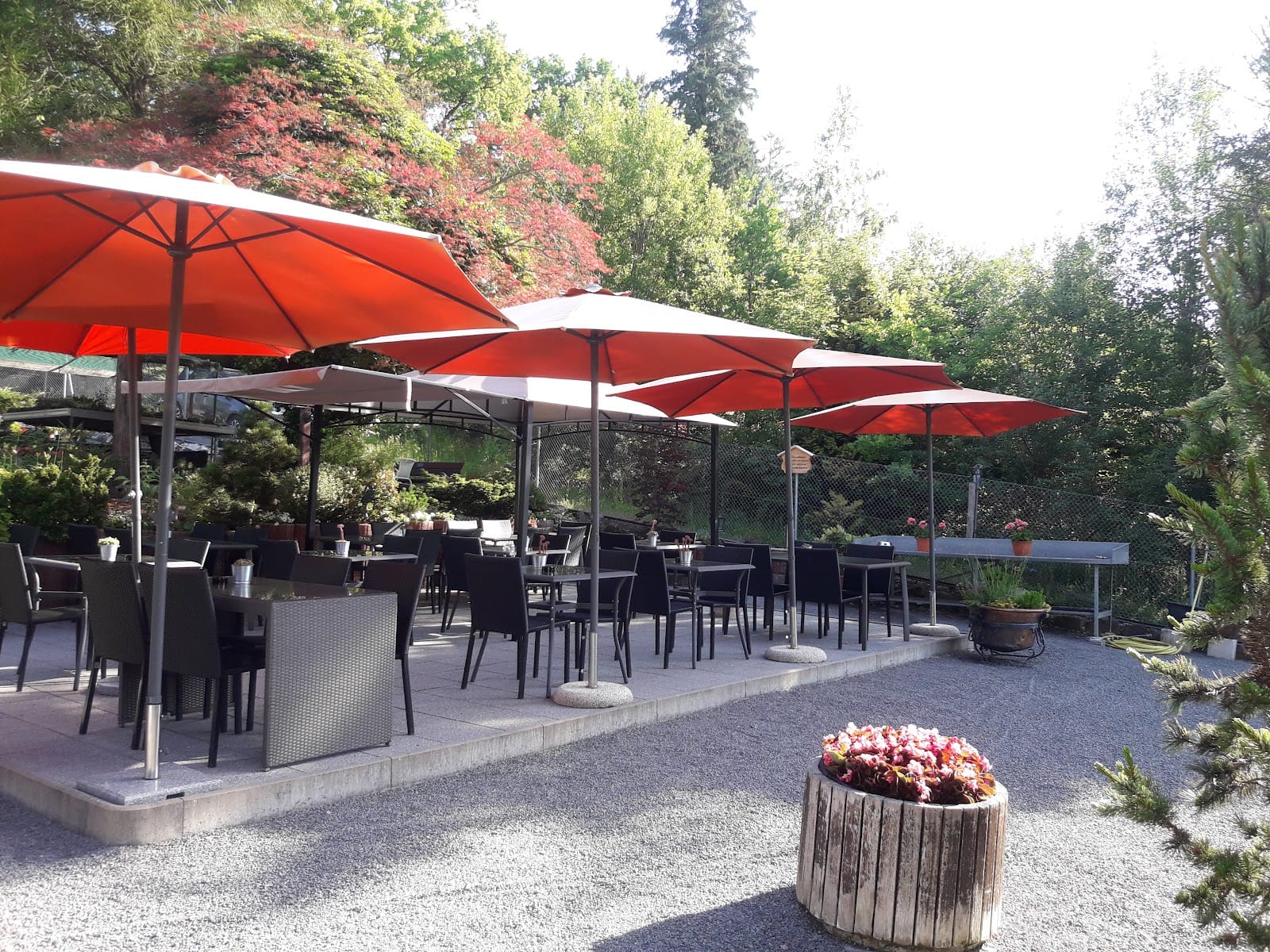 Cafe Flora - Gärtnerei Carl