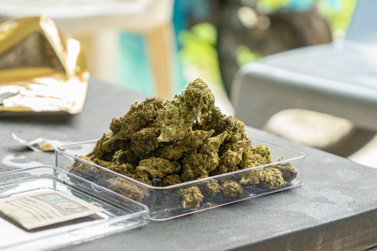 Coffeeshop Hempcrafted Plauen - CBD Cannabis Shop Plauen photo 4