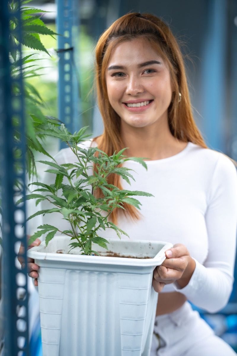 Coffeeshop Hempcrafted Plauen - CBD Cannabis Shop Plauen photo 6