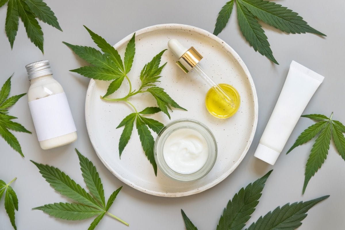 Coffeeshop Hempcrafted Plauen - CBD Cannabis Shop Plauen photo 7