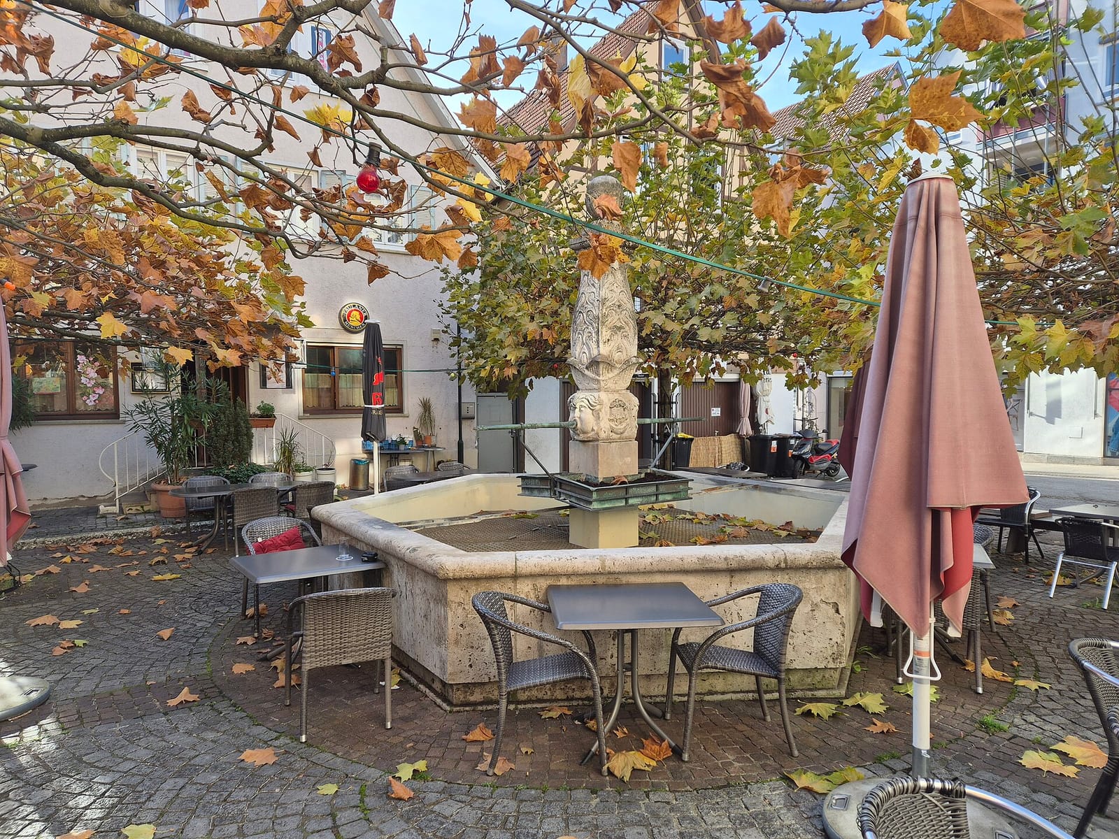 BASECOFFEE Reutlingen GmbH photo 12