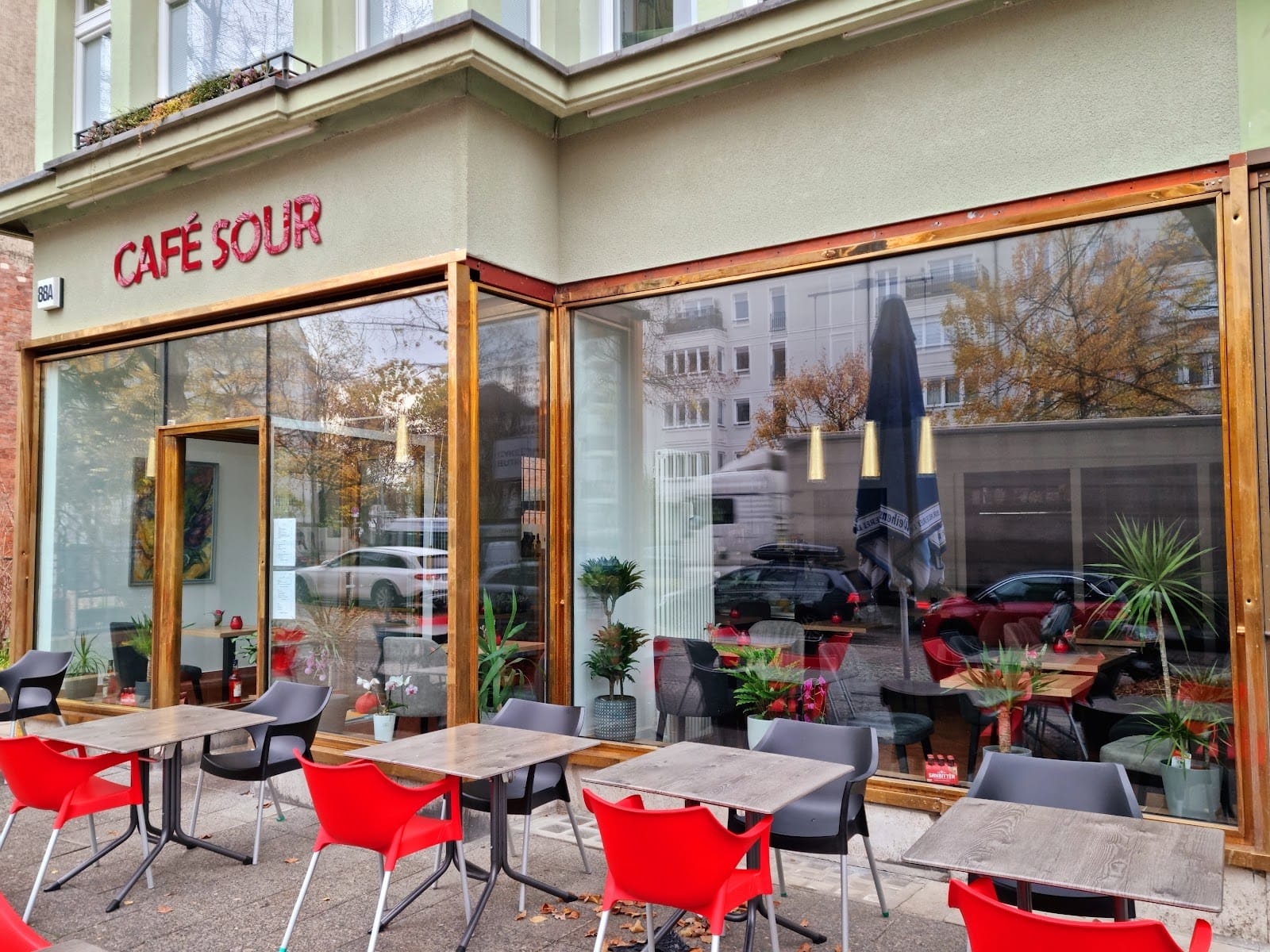 Cafe Sour