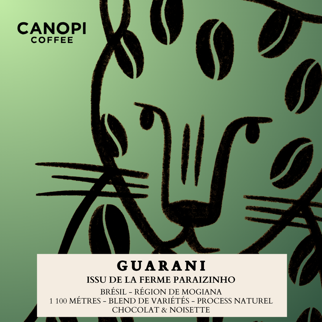 Canopi Coffee photo 3
